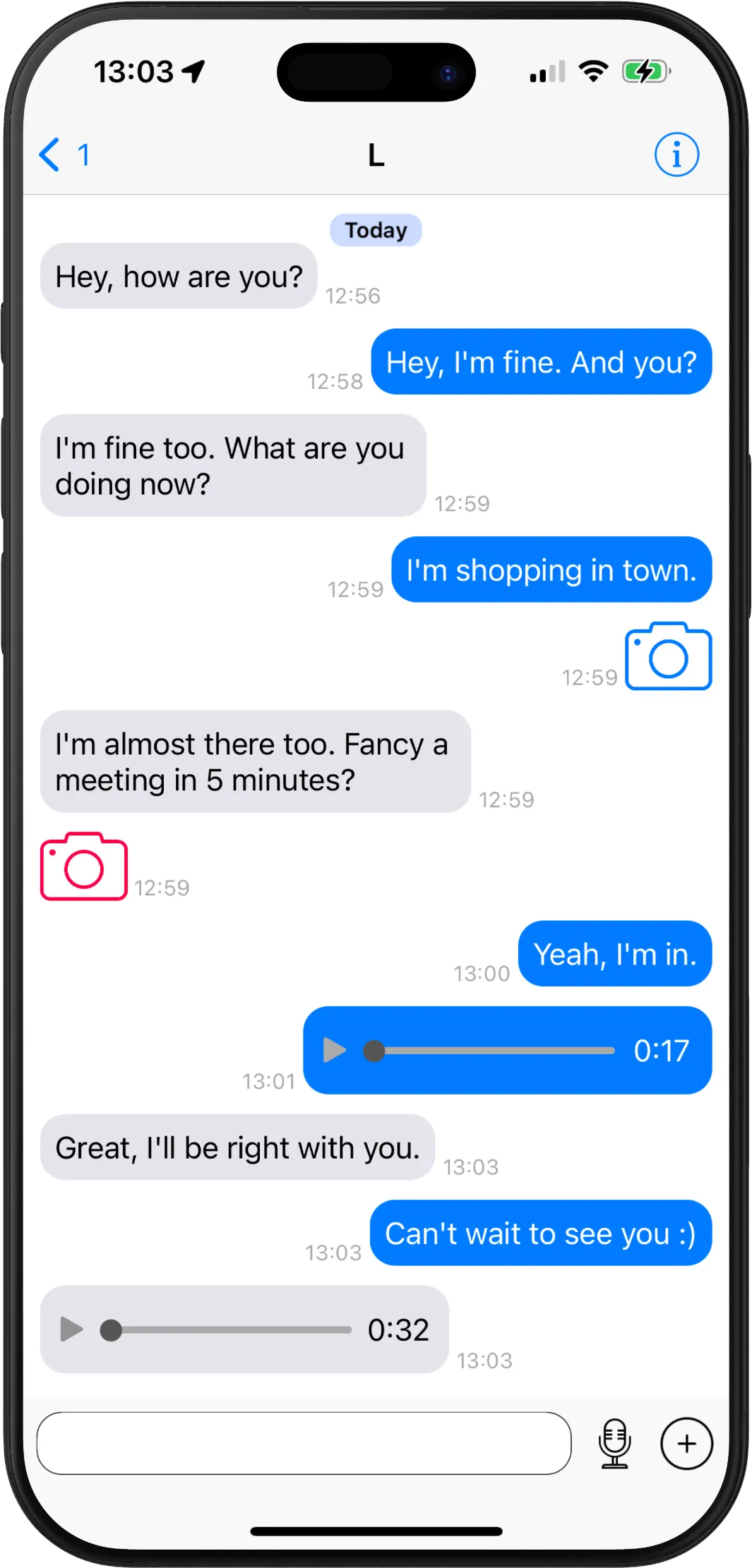 Private chat in Twiq with messages, photos and voice messages
